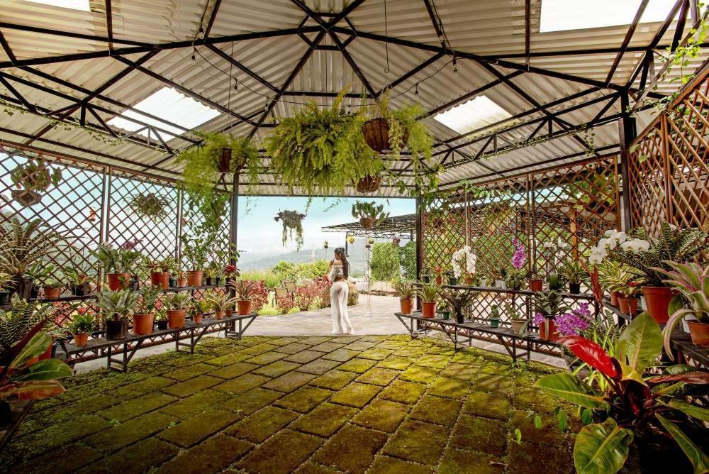Coffee Pickers Village By Hacienda Orosi Cartago Exterior photo